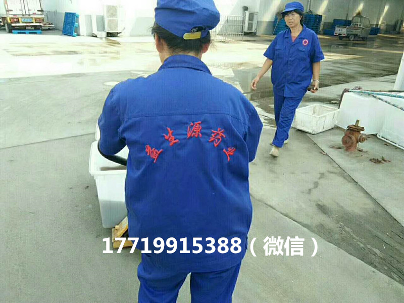 微信圖片_20170914133901_副本.jpg