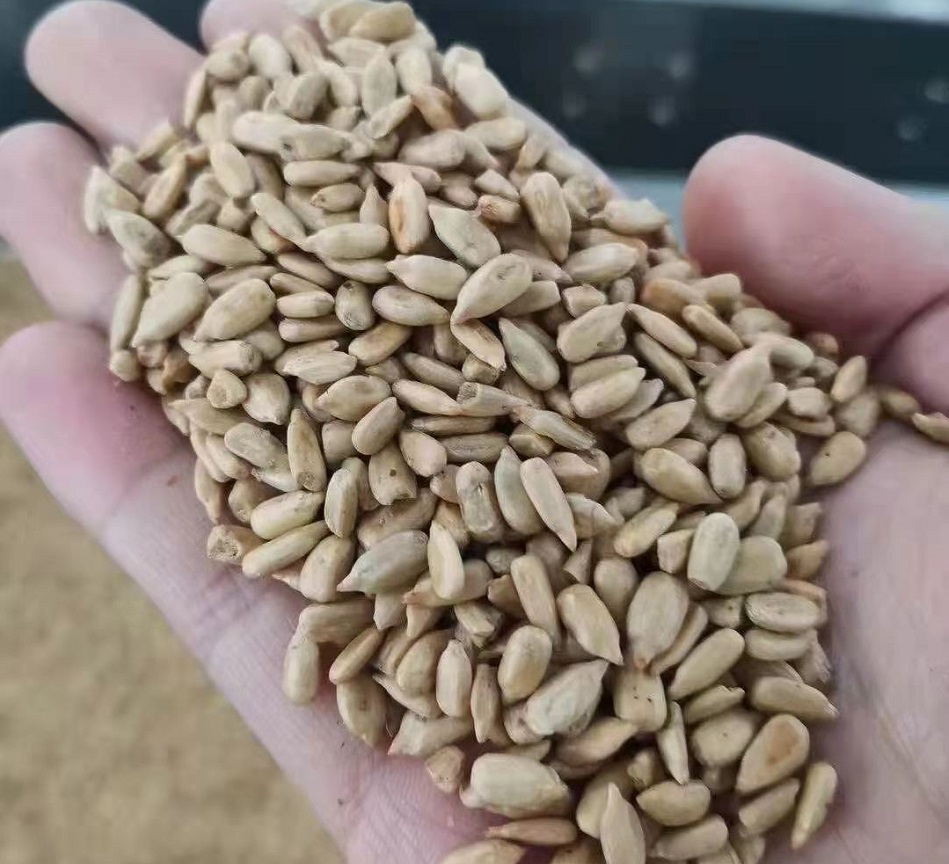 電磁炒瓜子機