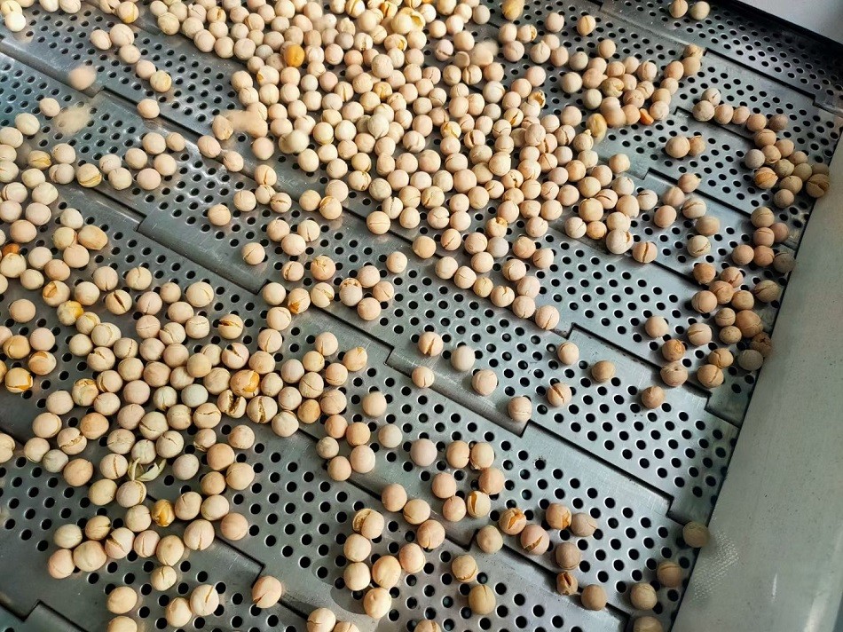 許昌智工炒貨機(jī)