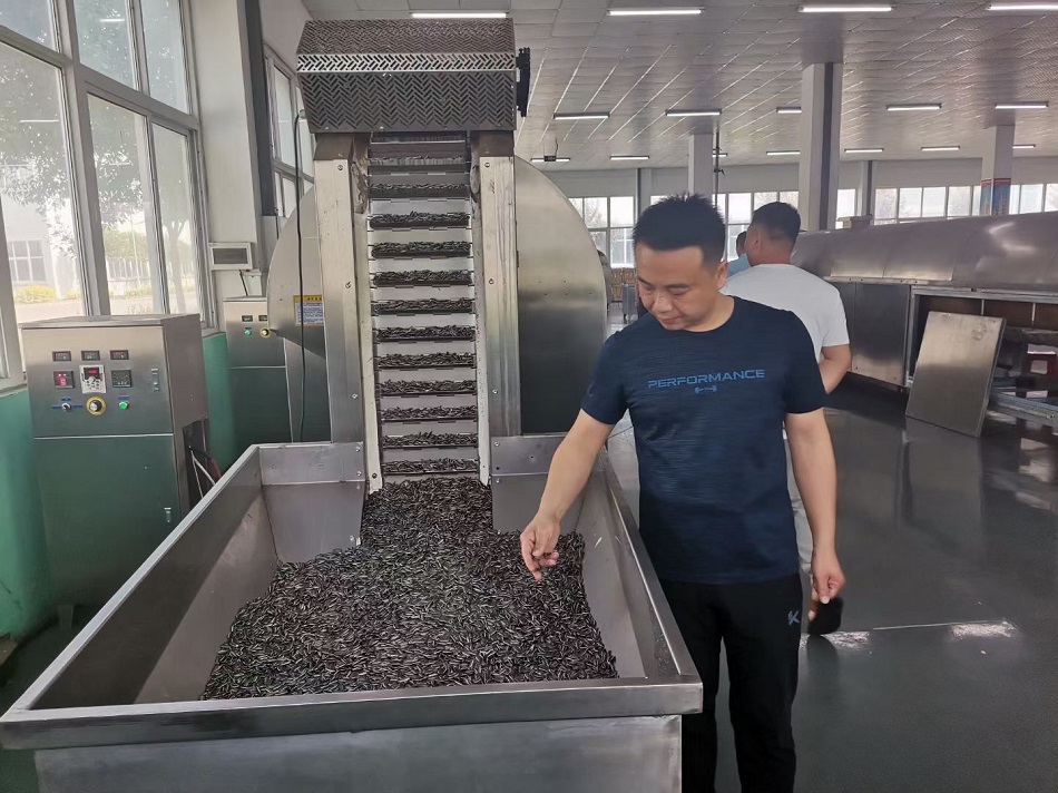 大型炒貨機