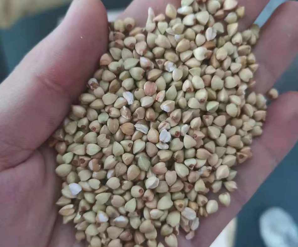 許昌智工炒貨機(jī)