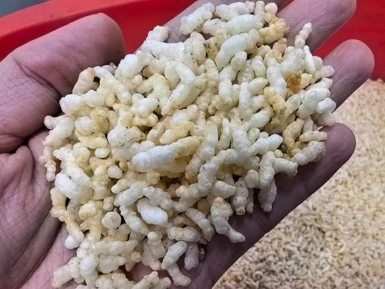 流水線炒貨機