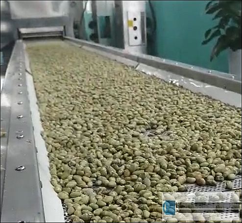 鄭州客戶來到許昌智工試機8米電磁流水線炒貨設備
